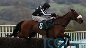 Imperial Aura to be given rest of the season off