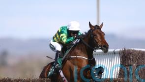 Fakir D’Oudairies aiming for Grade One gold in Ascot Chase