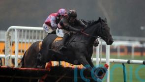 Third Wind primed for Rendlesham Hurdle defence