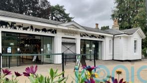 One of UK’s oldest zoos to shut after 186 years