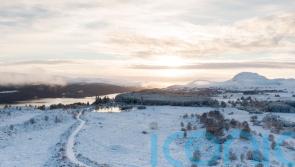 Fund launched to boost innovative rewilding projects and bring back nature