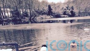 Swimming in freezing water saves adrenaline junkie from constant pain and inspires her to write a novel