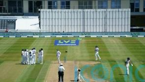 England to host South Africa and India in ‘bumper year for women’s game’