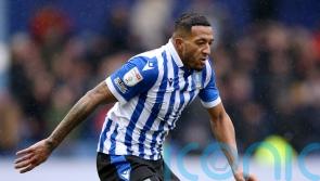 Owls to assess Nathaniel Mendez-Laing ahead of Accrington clash