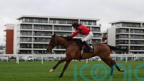 Novice route looks set to be favoured for Ahoy Senor