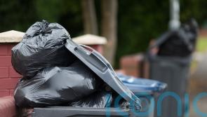 New report finds ‘spike’ in household waste in first year of Covid pandemic