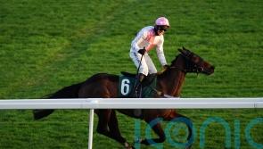 Harris could field two-pronged attack on Champion Bumper