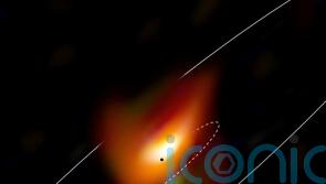 Supermassive black hole caught hiding in a ring of cosmic dust