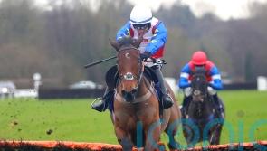 Love Envoi takes next step up the ladder at Sandown