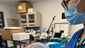 Researchers convert lungs for transplant to universal blood type