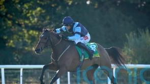Stayers’ Hurdle could prove tempting for Indefatigable