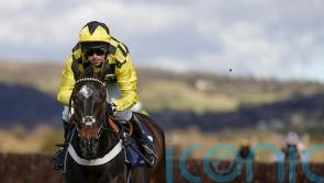 Shishkin poised to begin Champion Chase build up