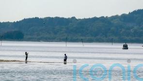 Farmers told to slash nitrogen pollution flowing into Poole Harbour