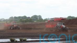 UK peat use caused millions of tonnes of CO2 emissions in 30 years – campaigners
