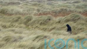 Thousands without power as Storm Eunice batters Ireland