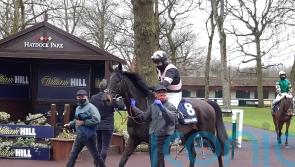 Penalty makes life tough for Third Wind in Rendlesham repeat bid