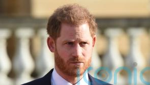 Harry’s offer to pay for security ‘irrelevant’, High Court told