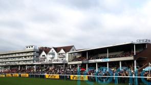 Haydock and Wincanton call morning inspections