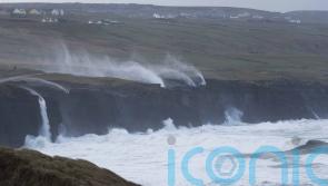 Man killed by falling tree as Ireland lashed by Storm Eunice