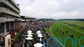 Haydock and Wincanton cards given green light