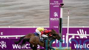 Porlock Bay not certain to defend his Cheltenham Hunters’ Chase title