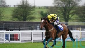 Porticello underlines Triumph claims with Haydock stroll
