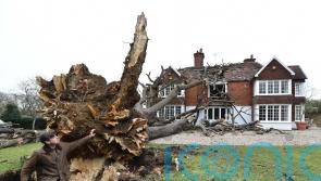 Family home ‘destroyed’ after 400-year-old oak tree crashes through roof