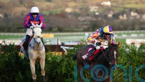 Bandey welcomes wet weather ahead of Diesel D’Allier’s Festival date