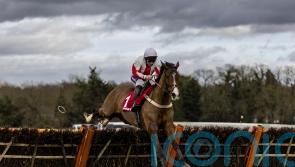 Goshen could head for Aintree after Kingwell heroics