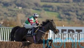 Chatham Street Lad plans on hold after setback