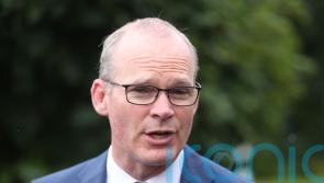 Ireland&rsquo;s support of Ukrainian sovereignty is &lsquo;unwavering&rsquo; &ndash; Coveney