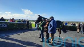 Thedevilscoachman leaves it late to secure Boyne Hurdle at Navan