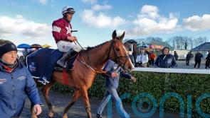 Farouk D’Alene cut for Cheltenham glory after Navan win