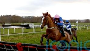 Dingo Dollar heads to Doncaster for National prep