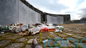 Government has key role in preventing anti-social behaviour, committee told