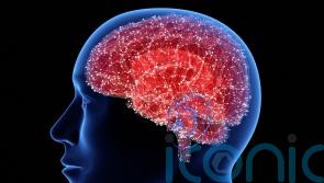 First ever recording of dying brain suggests we may recall key life events