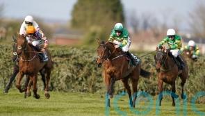 Naas option appeals to Walsh for Any Second Now