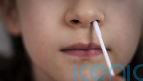 Four in five older primary school children likely to have Covid-19 antibodies