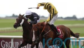 Sonnyboyliston seeking knockout blow in Riyadh