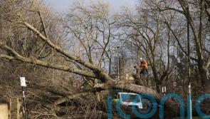 ‘Lives were saved’ as millions of drivers stayed at home during Storm Eunice
