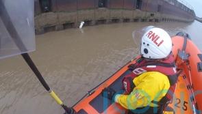 Cat left clinging to Norfolk river bank gets salmon treat after lifeboat rescue