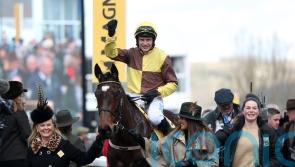Burning Victory too good for Quevega rivals