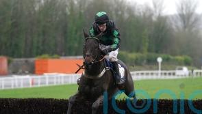 Welsh National hero Iwilldoit unlikely to run again this term