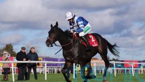 Frodon handed Cheltenham handicap option