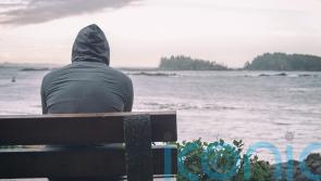 Magnetic brain cell technique developed that could treat depression