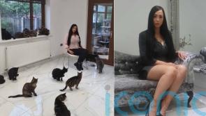 Former TV extra lifts the lid on her life as a call girl and naked pole dancer earning up to £1k a night largely motivated by her mission to care for stray cats