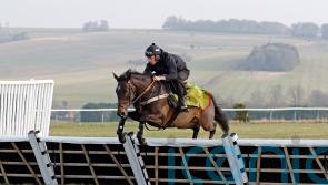 All change for look of hurdles and fences after welfare study