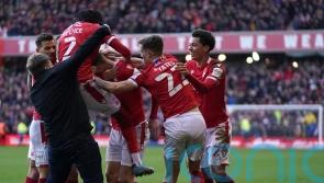 Leicester fan sentenced after swinging punches at Nottingham Forest players
