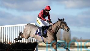 Graystone takes Adonis test against Knight Salute at Kempton