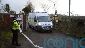 Man dies after Co Dublin farmland shooting